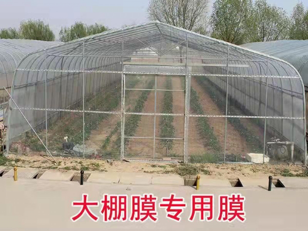 微信圖片_20211127151917